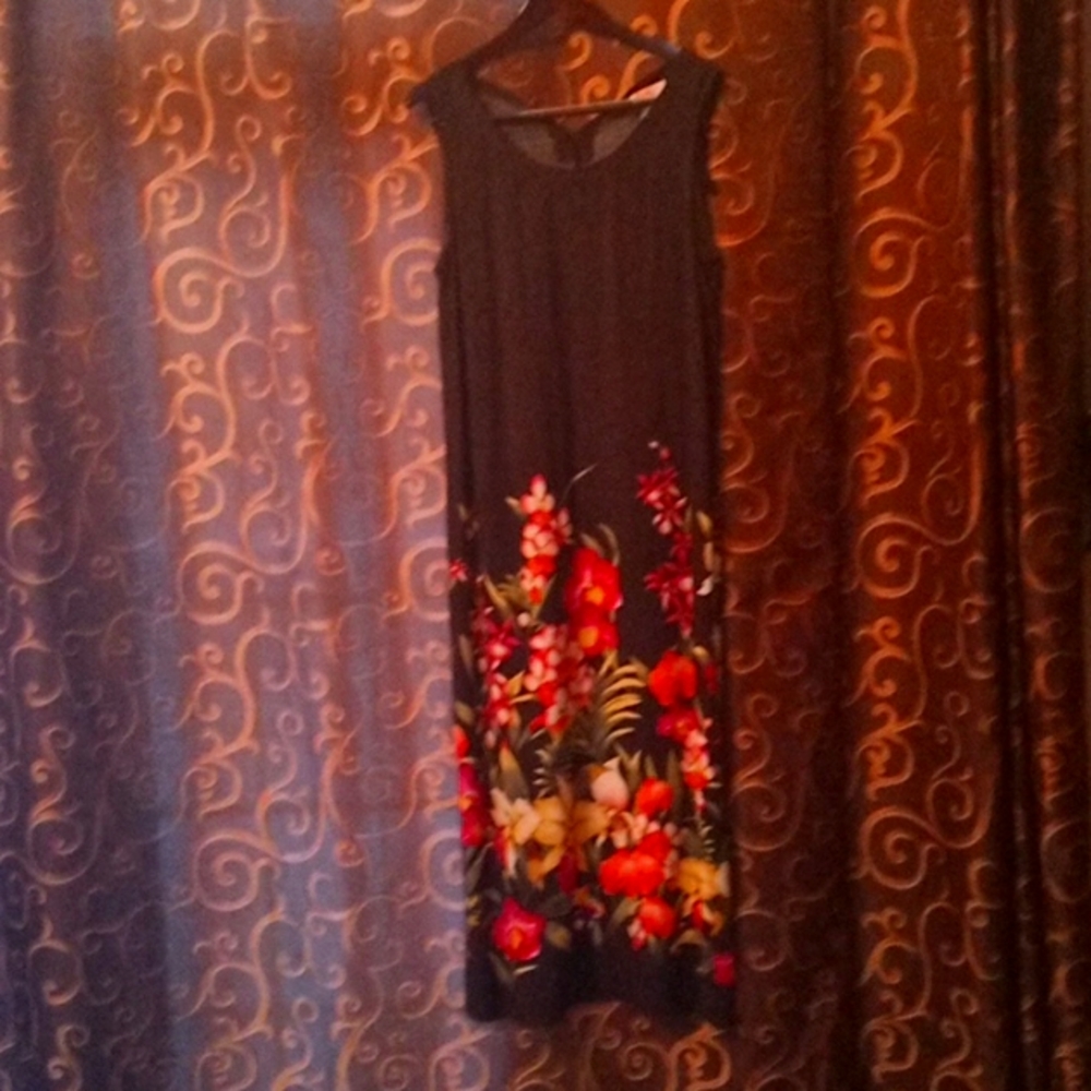Very very long Sleeveless Dress 48.5 inches long by R&K ORIGINAL Size 14